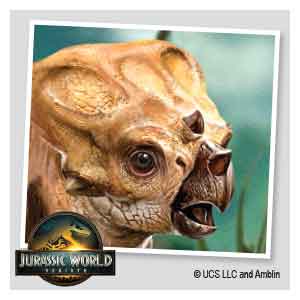 category.ThumbnailAltText