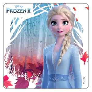 Disney Frozen 2 Stickers