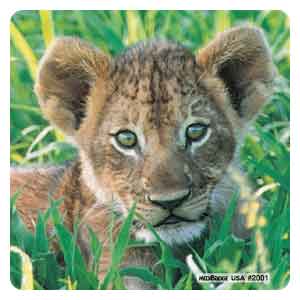 Baby Animals Asst. Stickers