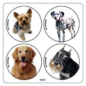 Dog Photo MiniBadges Stickers