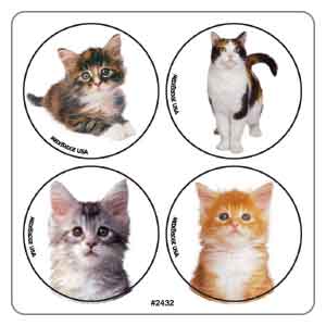 Cat Photo MiniBadges Stickers