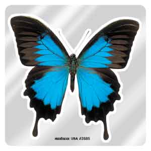 Butterfly Foil Asst. Stickers