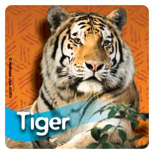 Zoo Animal Photos Asst. Stickers