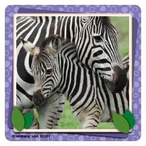 Baby Animal Photos Asst. Stickers