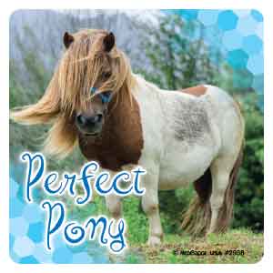 Perfect Pony Photos Asst. Stickers