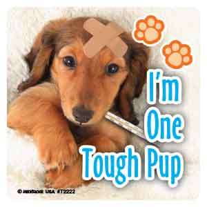 TLC Pups Asst. Stickers