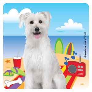 Summer Fun Pets Asst. Stickers