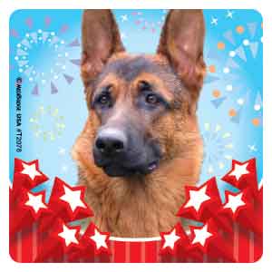 Patriotic Pup Photos Asst. Stickers