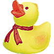 Rubber Ducky Squirt Toys
