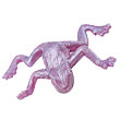 Stretchy Frog Toys