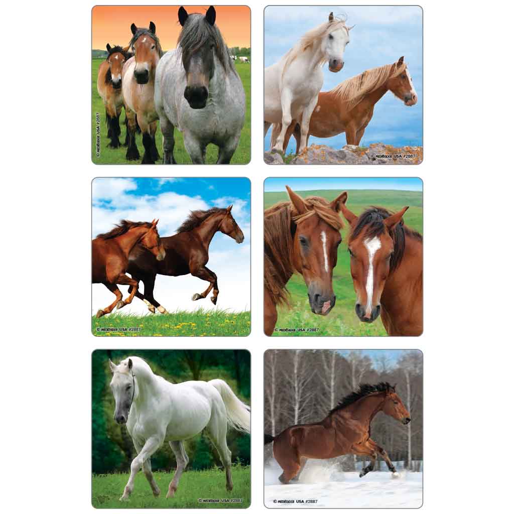 Horse Photos Asst. Stickers