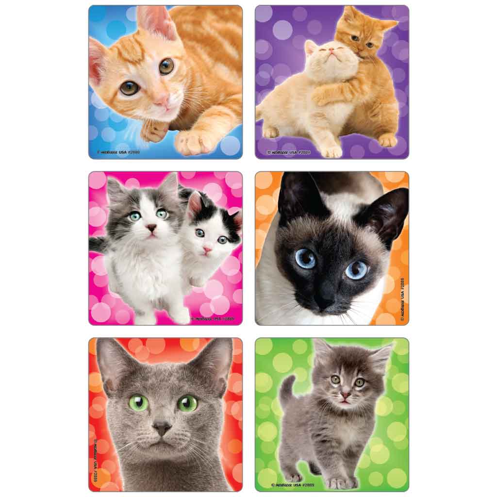 Kitty Cat Photos Asst. Stickers