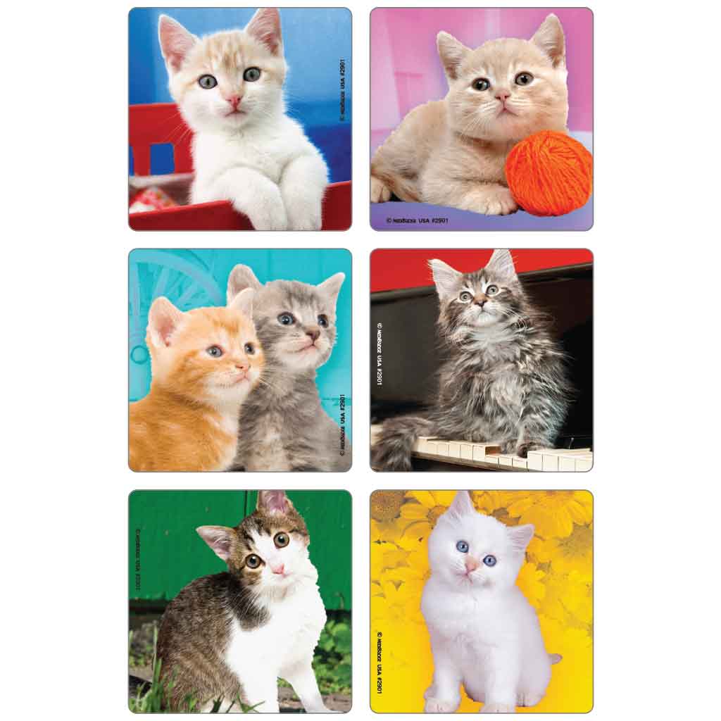 Cute Kitten Photos Asst. Stickers