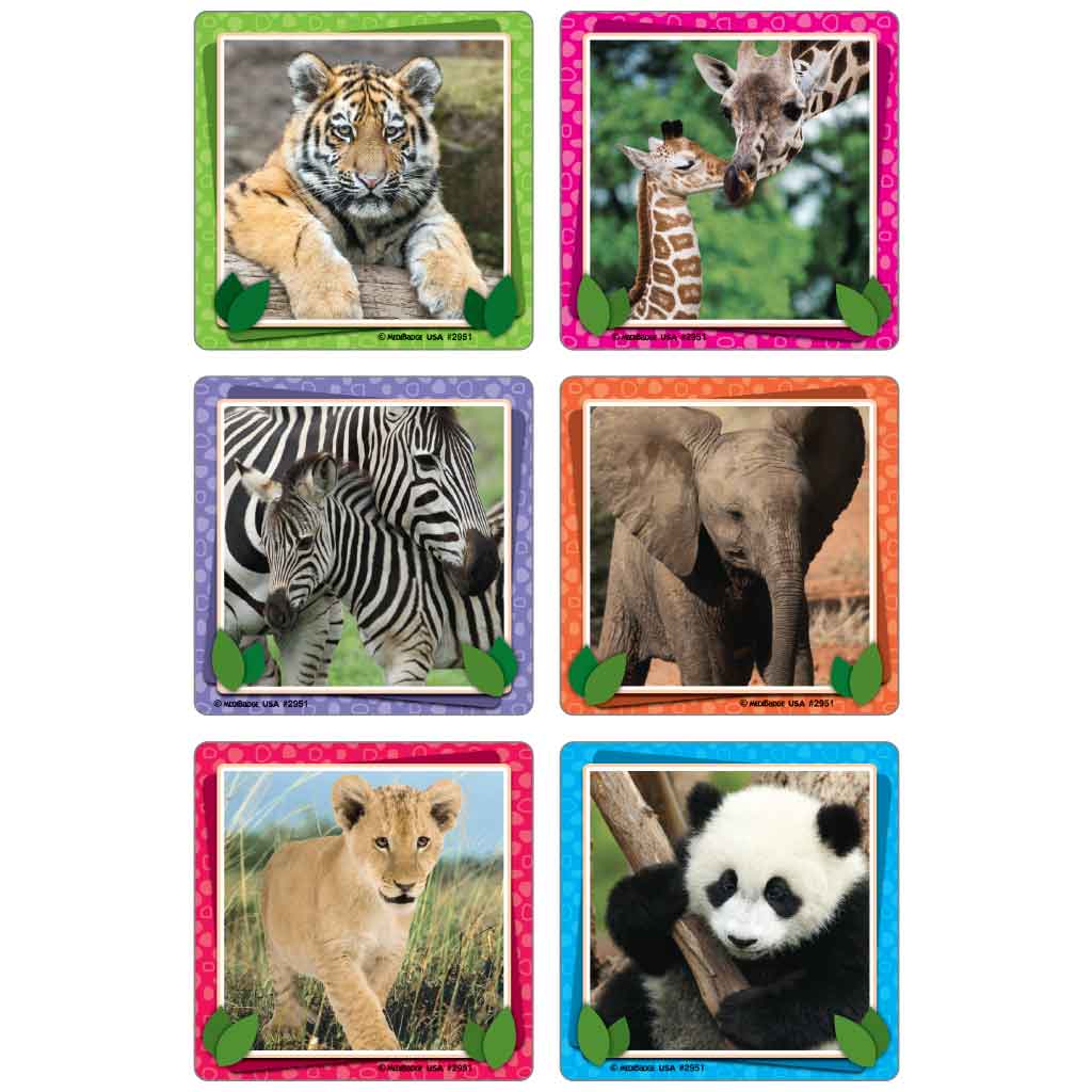 Baby Animal Photos Asst. Stickers