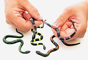 Soft Stretchy Snake Toys